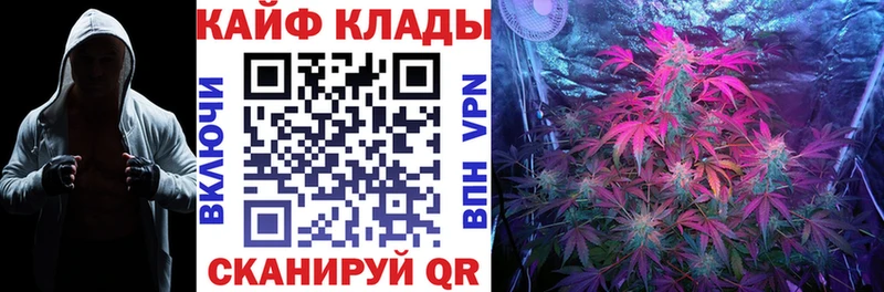 Магазин наркотиков Петровск Альфа ПВП  МЕФ  Псилоцибиновые грибы  блэк спрут tor  Марихуана 