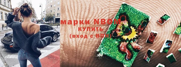 соль ск Медногорск