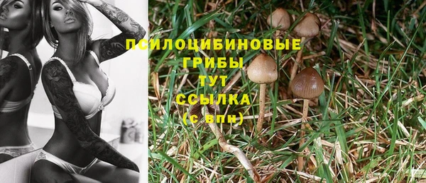 эйфоретик Медвежьегорск