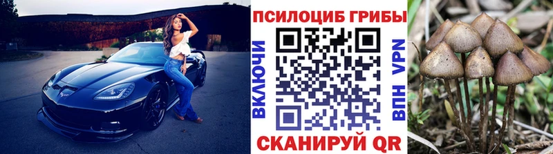 Галлюциногенные грибы мухоморы  blacksprut как войти  Петровск 