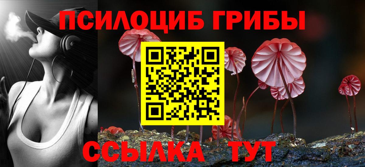 Галлюциногенные грибы Psilocybe  Вход с VPN  где найти   Петровск 