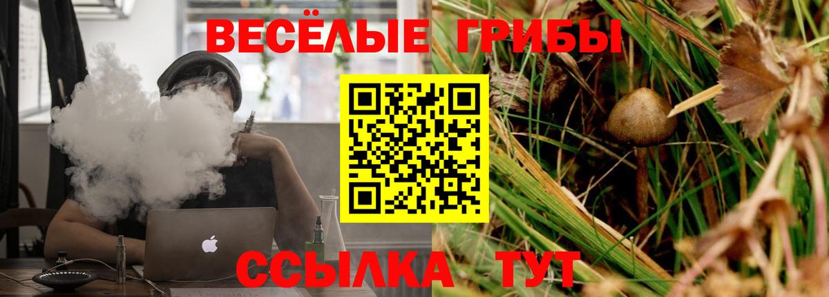 Галлюциногенные грибы MAGIC MUSHROOMS Петровск